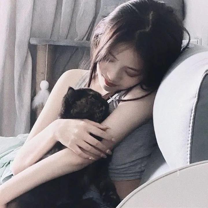 西科克斯七人组的归来